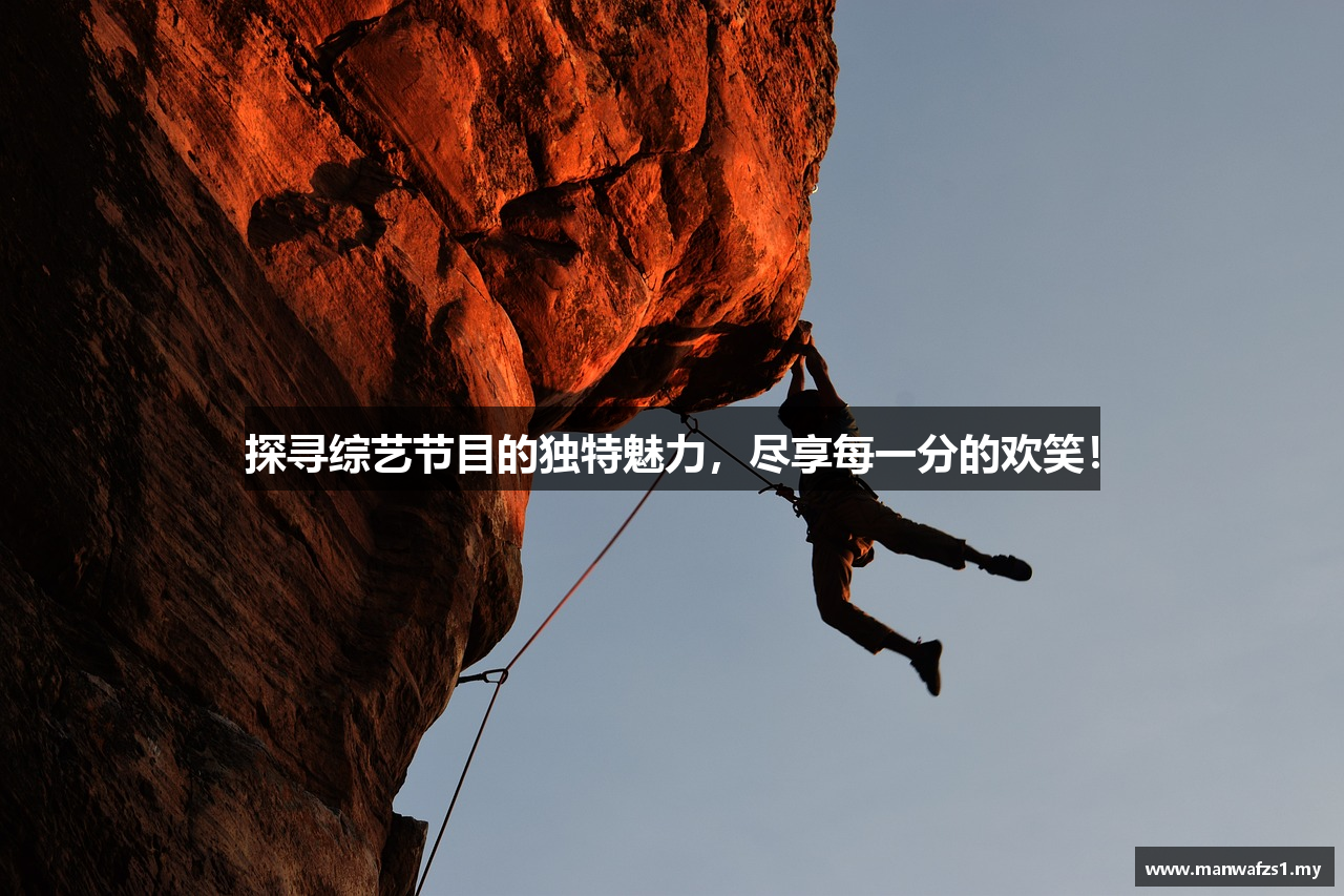 探寻综艺节目的独特魅力，尽享每一分的欢笑！